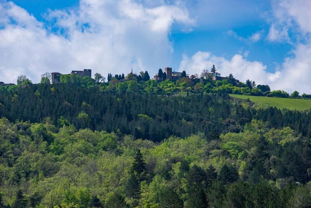 Villa Blanche, Contemporary, Cathars, Couiza, Carcassonne Bagian luar foto